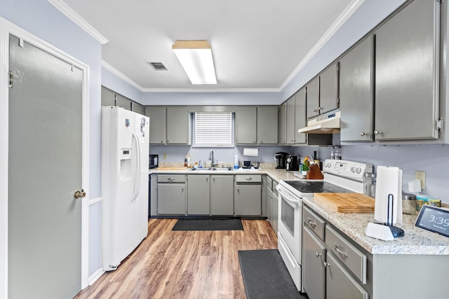3758 Pine Ridge Run, Martinez, GA 30907 - kitchen with white appliances, gray cabinets, crown molding, under cabinet range hood, and light wood finished floors