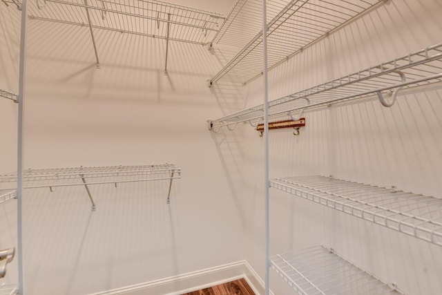 spacious closet featuring wood-type flooring