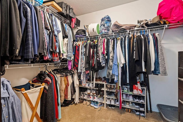 2009 Dundee Way, Grovetown, GA 30813 - walk in closet featuring carpet flooring