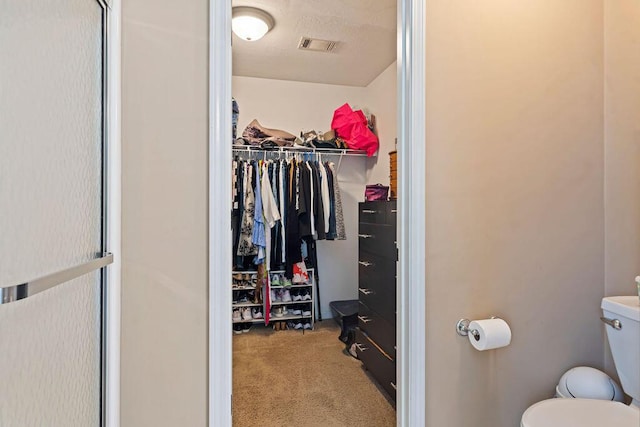 2009 Dundee Way, Grovetown, GA 30813 - spacious closet with carpet floors