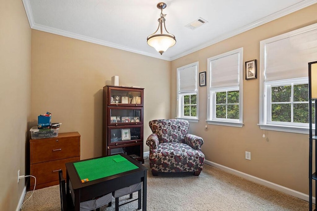 2009 Dundee Way, Grovetown, GA 30813 - recreation room with carpet and ornamental molding
