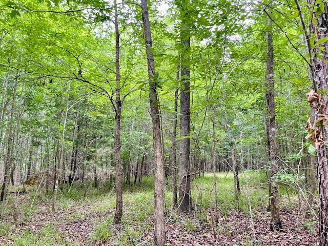 0 Indian Rd, Lincolnton, GA 30817 - photo 8
