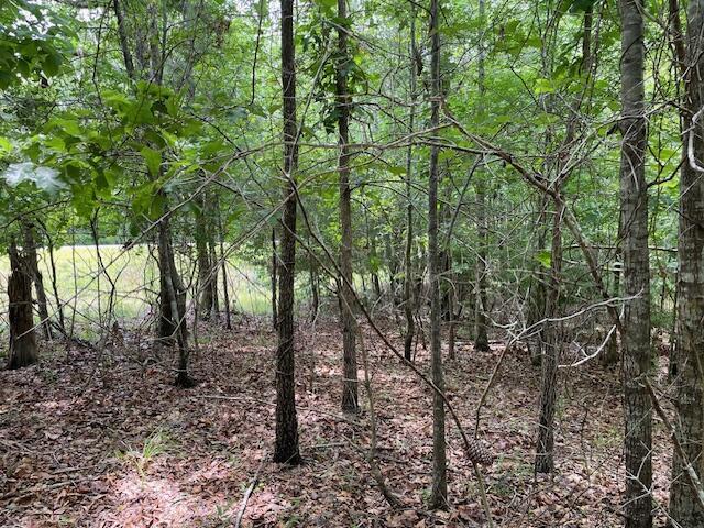 0 Indian Rd, Lincolnton, GA 30817 - photo 7