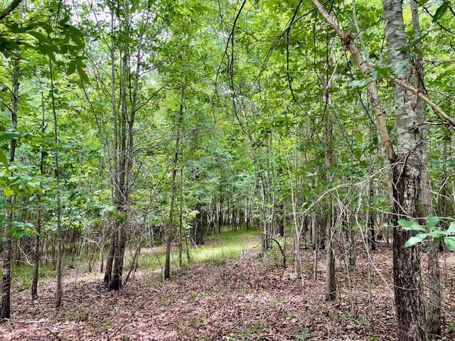 0 Indian Rd, Lincolnton, GA 30817 - photo 4