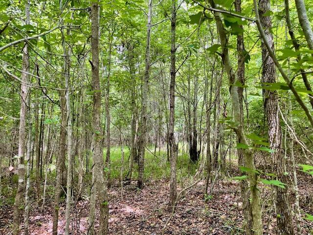 0 Indian Rd, Lincolnton, GA 30817 - photo 5