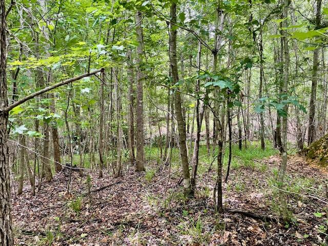 0 Indian Rd, Lincolnton, GA 30817 - photo 9