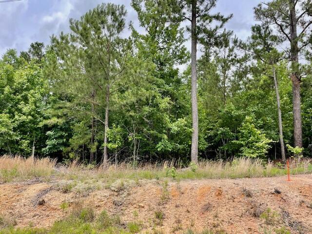 0 Indian Rd, Lincolnton, GA 30817 - photo 2