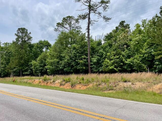 0 Indian Rd, Lincolnton, GA 30817 - photo 3