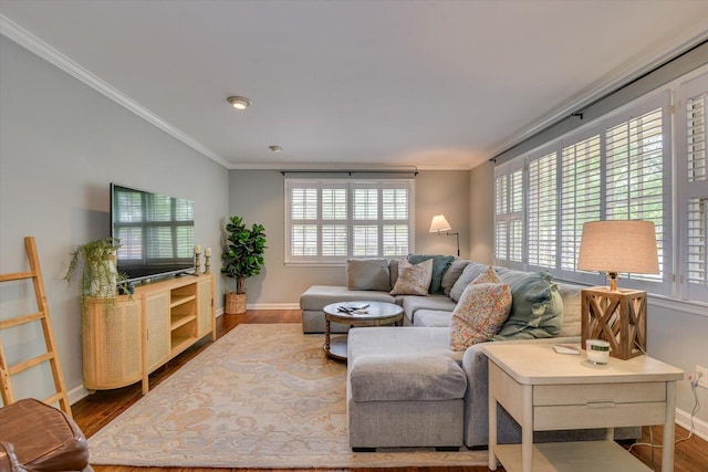 3122 Ramsgate Rd, Augusta, GA 30909 - living area featuring wood finished floors and ornamental molding