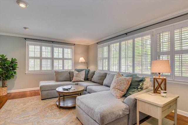 3122 Ramsgate Rd, Augusta, GA 30909 - living room featuring wood finished floors and ornamental molding