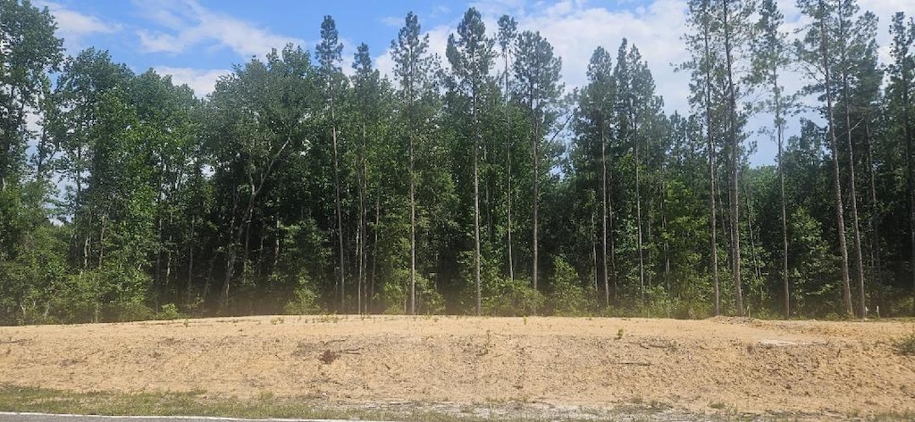 LOT1 County Line Rd, Mitchell, GA 30820