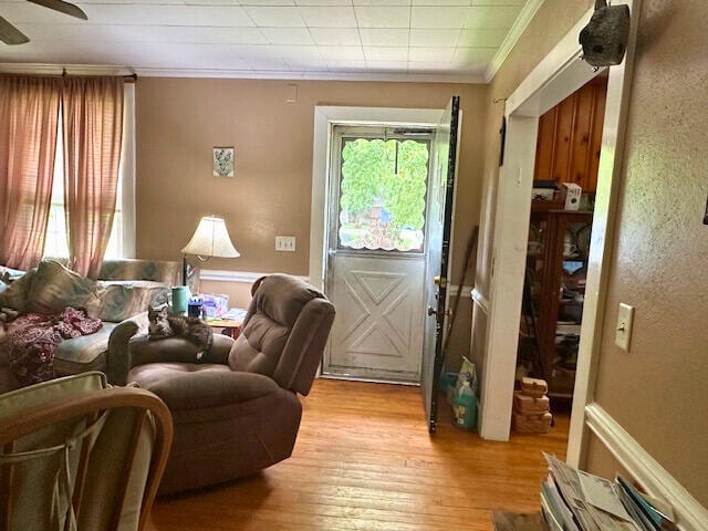 interior space featuring light hardwood / wood-style floors, ceiling fan, and ornamental molding