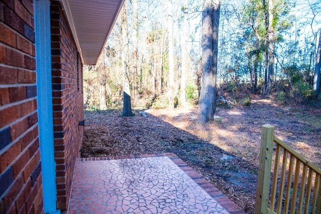 view of yard featuring a patio