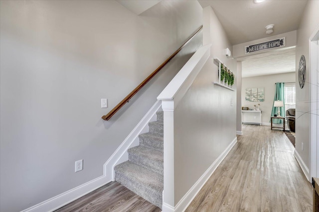 317 Brass Ct, Trenton, SC 29847 - photo 22