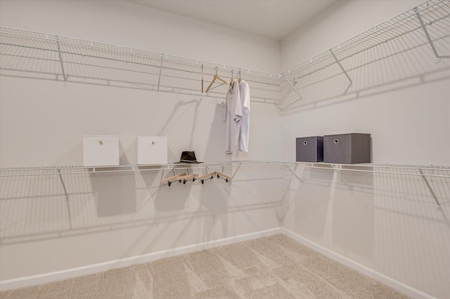 spacious closet with carpet