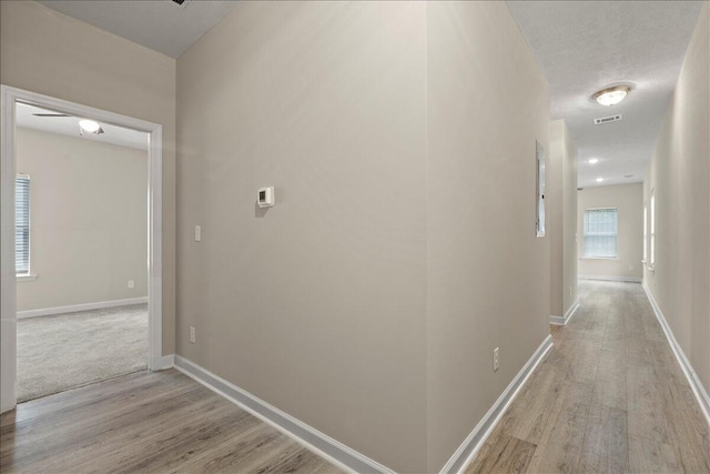 239 Walker St, Augusta, GA 30901 - hall with light wood-style flooring and baseboards