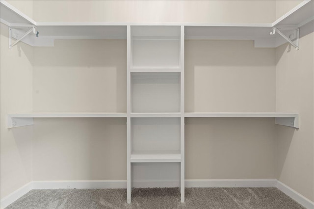 239 Walker St, Augusta, GA 30901 - walk in closet featuring carpet floors