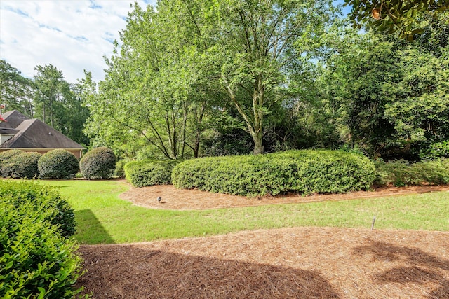 24 Rapids Ct, North Augusta, SC 29841 - photo 54
