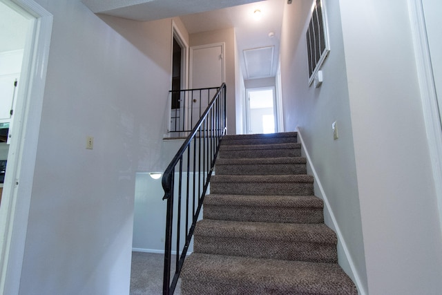 412 Marlboro St, Augusta, GA 30907 - photo 20