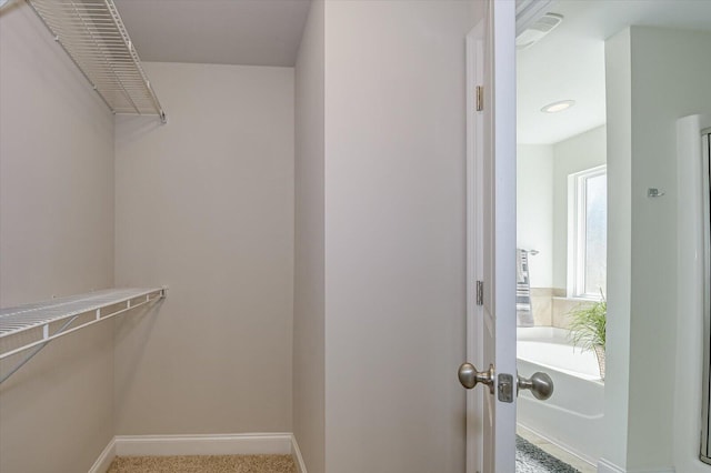 spacious closet with carpet flooring