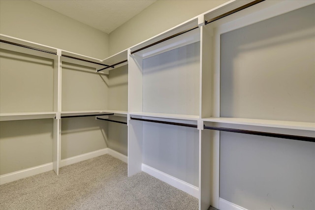 951 Napiers Post Dr, Evans, GA 30809 - walk in closet with light carpet