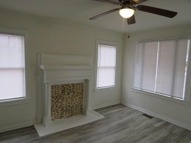 unfurnished living room featuring plenty of natural light and wood-type flooring