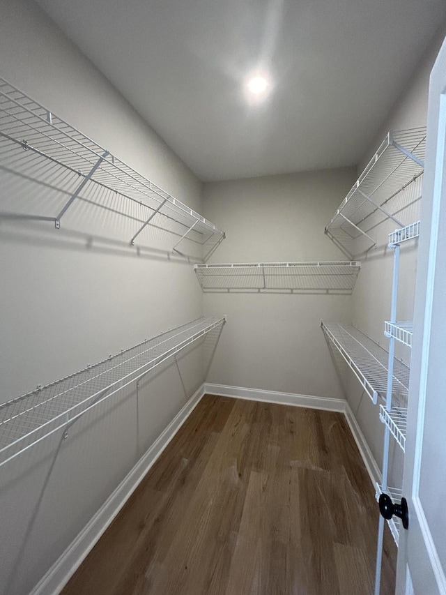 410 Williams St, Grovetown, GA 30813 - spacious closet featuring wood finished floors