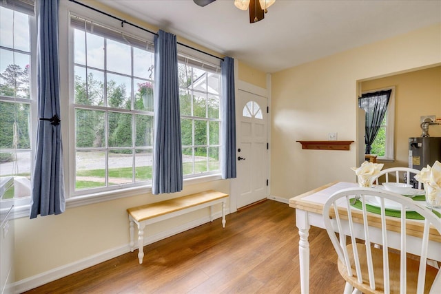 foyer entrance with electric water heater, plenty of natural light, baseboards, and wood finished floors