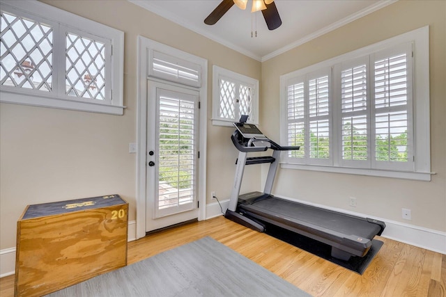 exercise room with ornamental molding, a wealth of natural light, ceiling fan, and wood finished floors