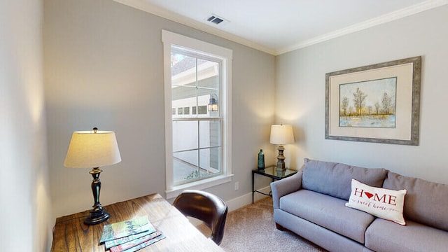 151 Cypress Dr, Mccormick, SC 29835 - living room featuring ornamental molding