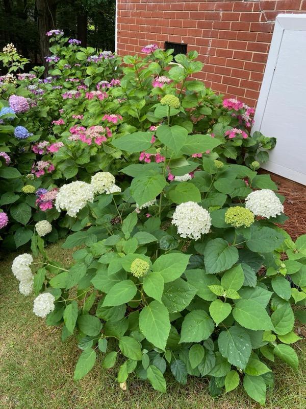 408 Hastings Pl, Martinez, GA 30907 - photo 66