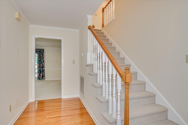 408 Hastings Pl, Martinez, GA 30907 - photo 6