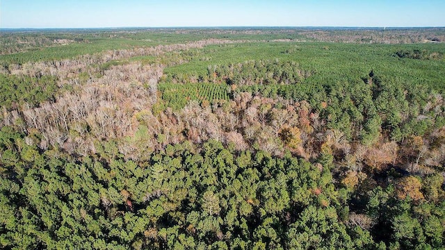 1203 Miles Rd, Harlem, GA 30814 - photo 13