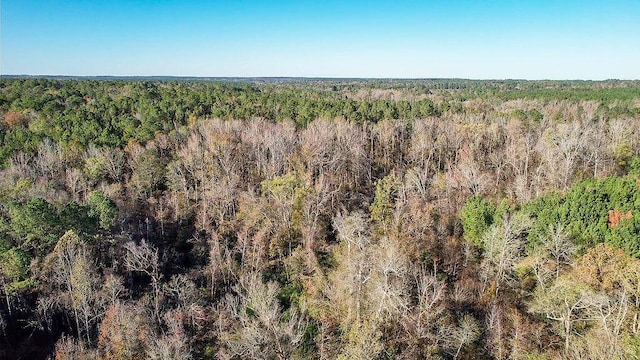 1203 Miles Rd, Harlem, GA 30814 - photo 9