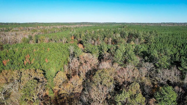 1203 Miles Rd, Harlem, GA 30814 - photo 10