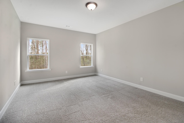 spare room with carpet floors and a wealth of natural light