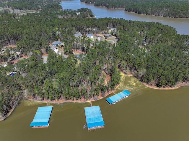 186 Tara Dr, Mccormick, SC 29835 - drone / aerial view featuring a water view and a view of trees