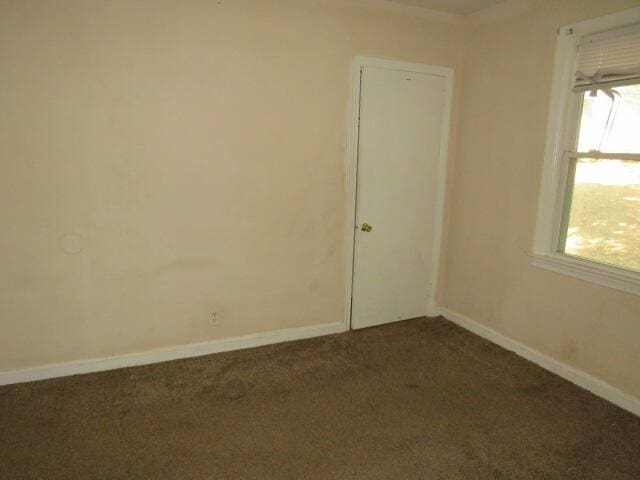 2843 Cornelia Rd, Augusta, GA 30906 - photo 6