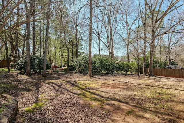 view of yard with fence