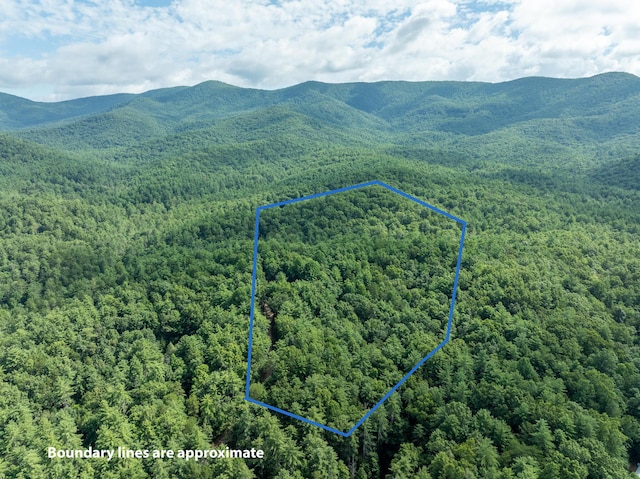 391 Whitecliff Dr, Ellijay, GA 30540 - photo 7