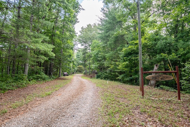391 Whitecliff Dr, Ellijay, GA 30540 - photo 37