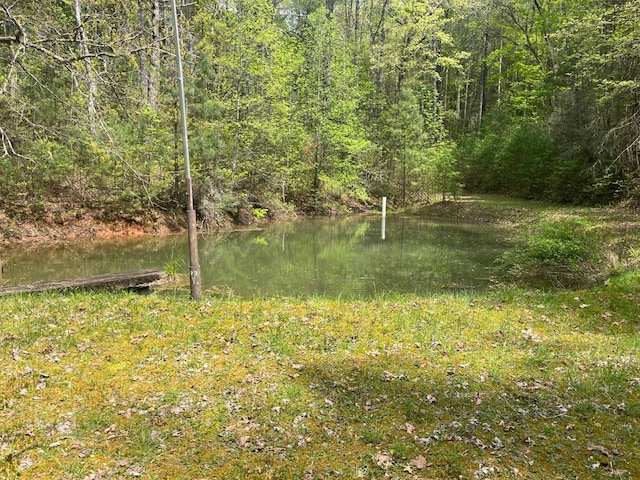 391 Whitecliff Dr, Ellijay, GA 30540 - photo 38
