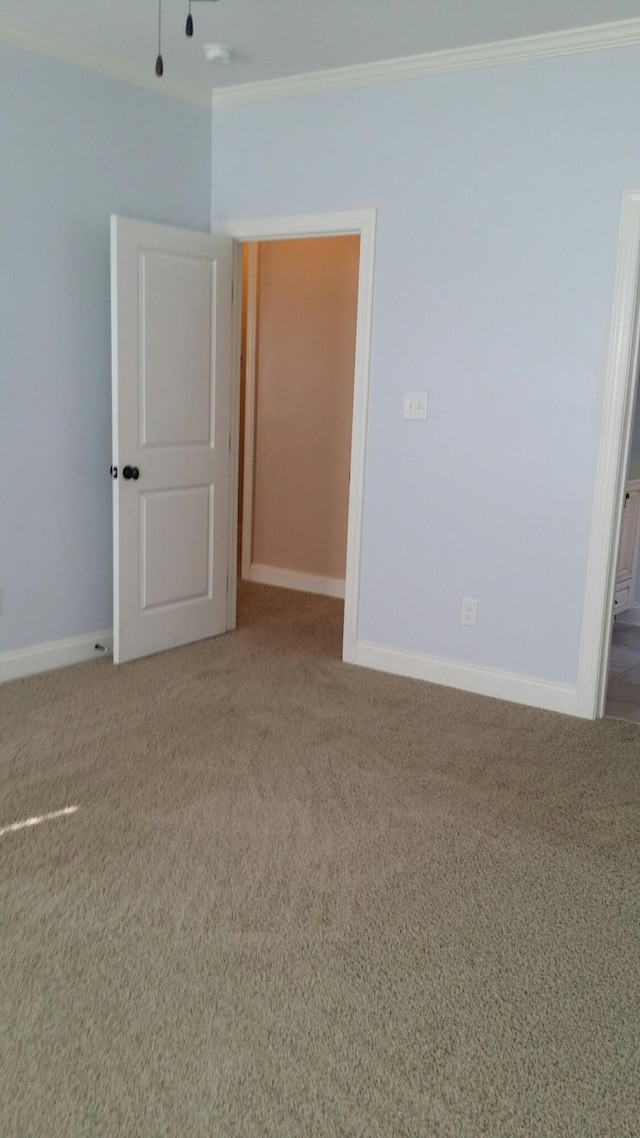 spare room featuring baseboards, carpet flooring, and crown molding