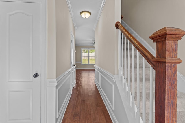631 Dunrobin Ln, Grovetown, GA 30813 - hall with wainscoting, ornamental molding, stairs, and dark wood-type flooring