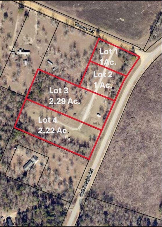 00 Jack Delaigle Rd, Waynesboro, GA 30830 - photo 1