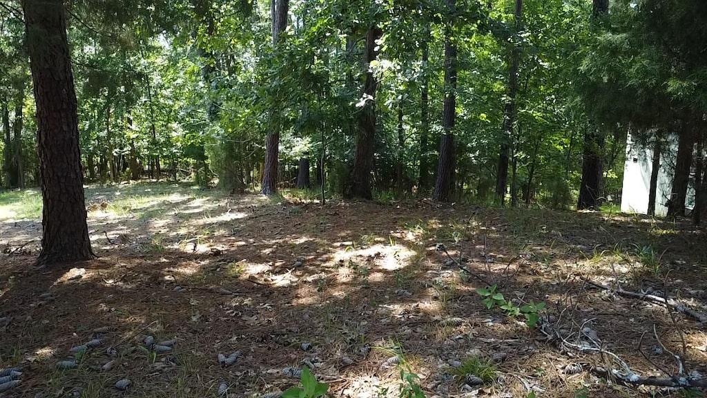 45 Wildmeade Ct, North Augusta, SC 29841 - photo 1