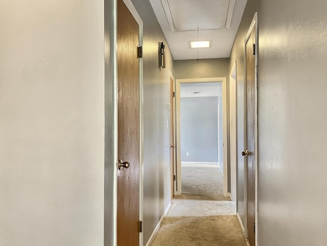 10236 S Ga Highway 23, Girard, GA 30426 - hallway with light colored carpet