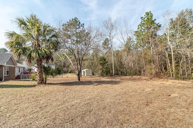 view of yard featuring a storage unit