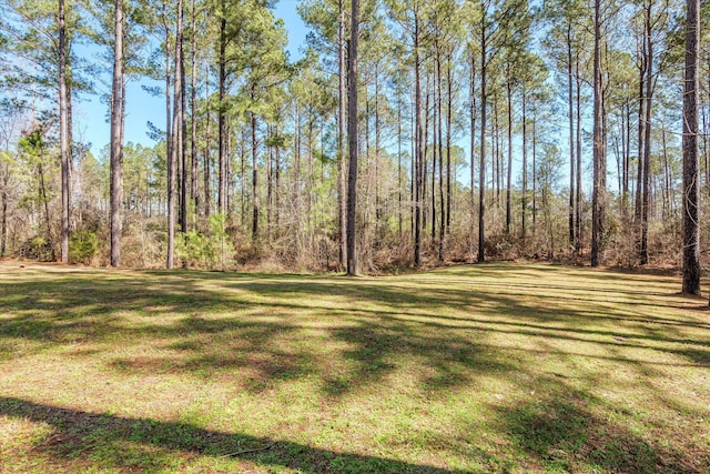 view of yard with a wooded view