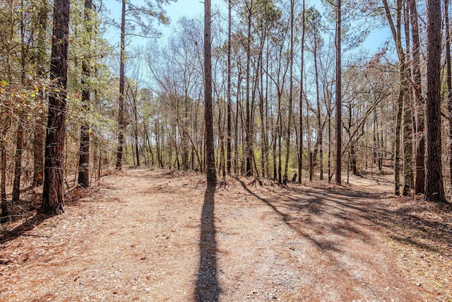 view of local wilderness with a forest view